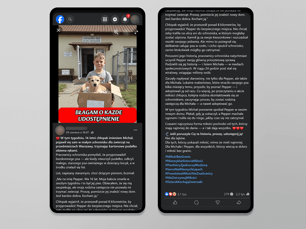 Podgląd obrazu
