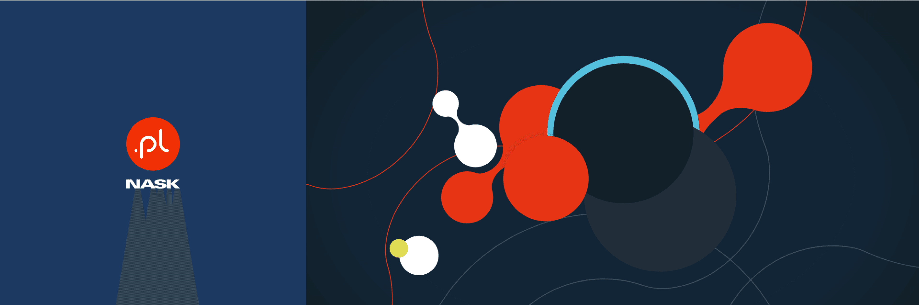 Logotyp DNS.pl