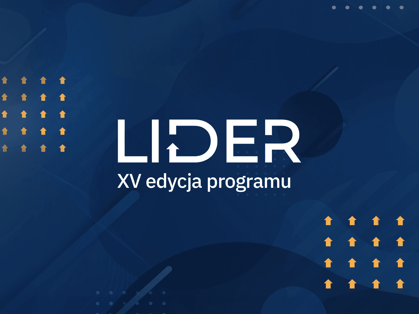 LIDER - XV edycja programu